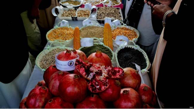 بزرگترین نمایشگاه زراعتی افغانستان برگزار می شود